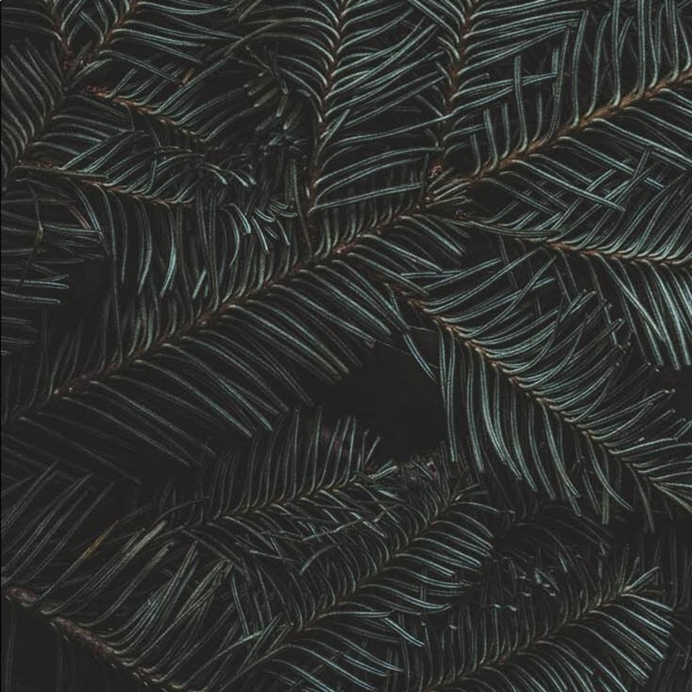 Meet your Posher, Beck